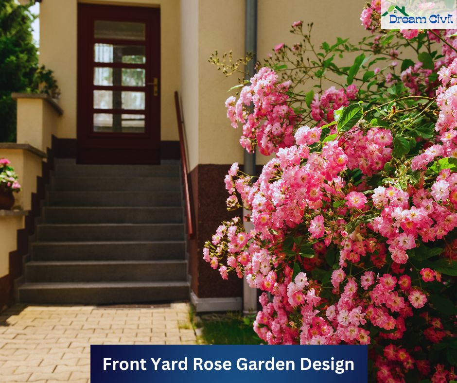 Pink Rose Garden Ideas