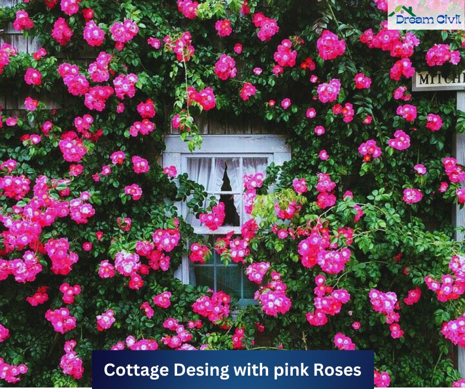 Pink Rose Garden Ideas