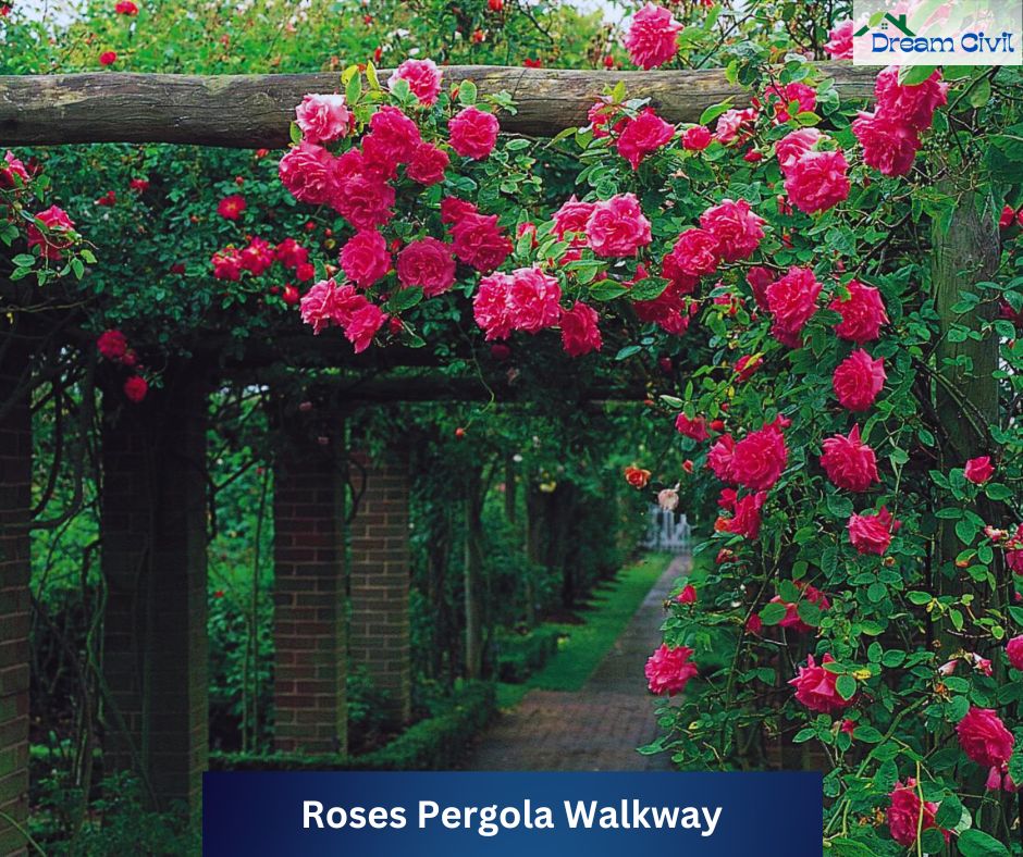 Pink Rose Garden Ideas