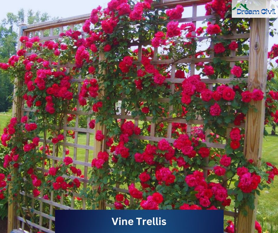 Pink Rose Garden Ideas