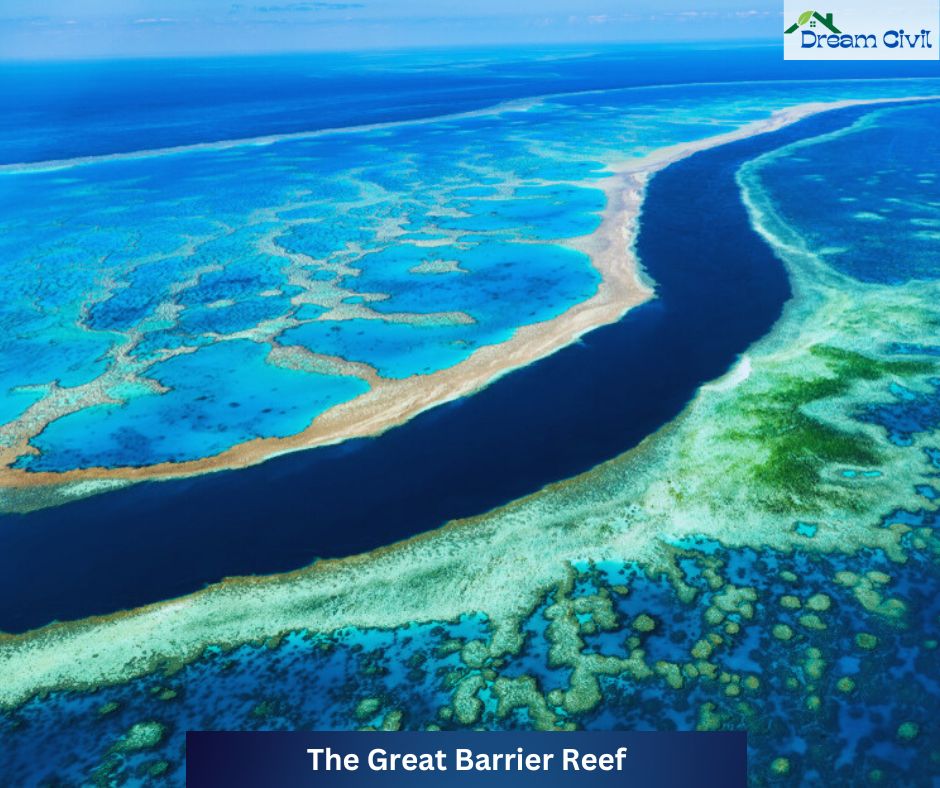 The Great Barrier Reef