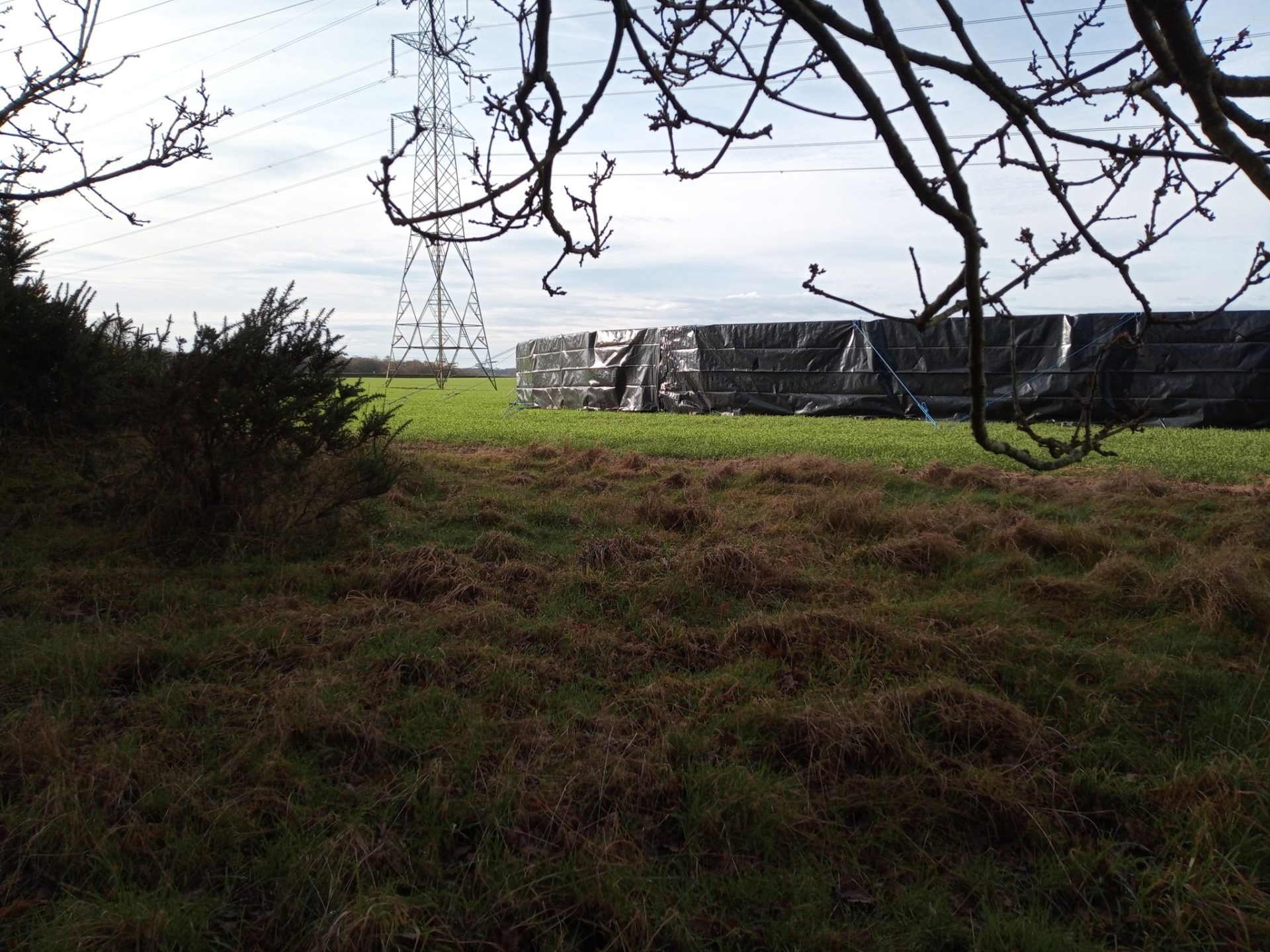 HS2 Chiltern Tunnel