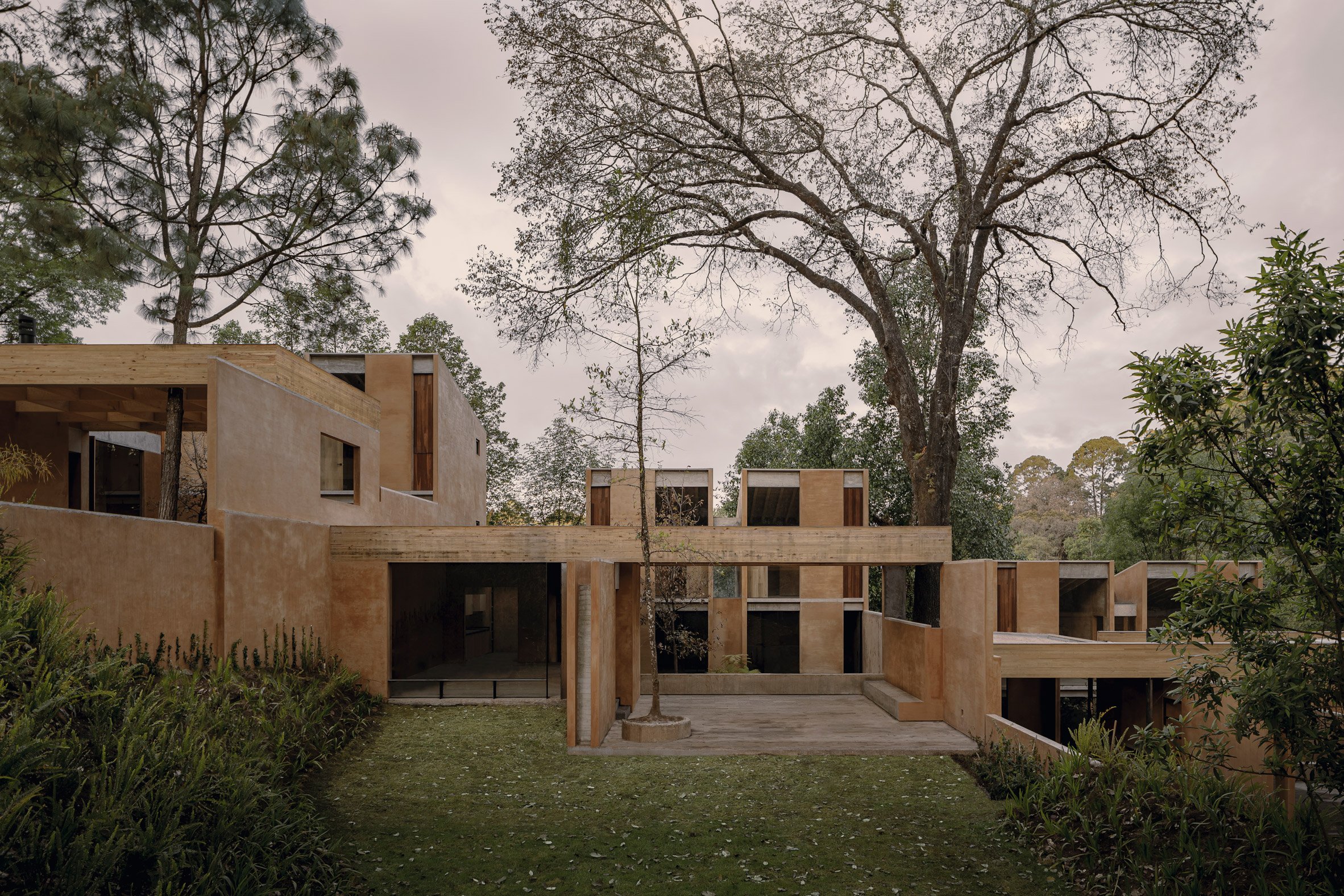 Los Helechos by Taller Hector Barroso