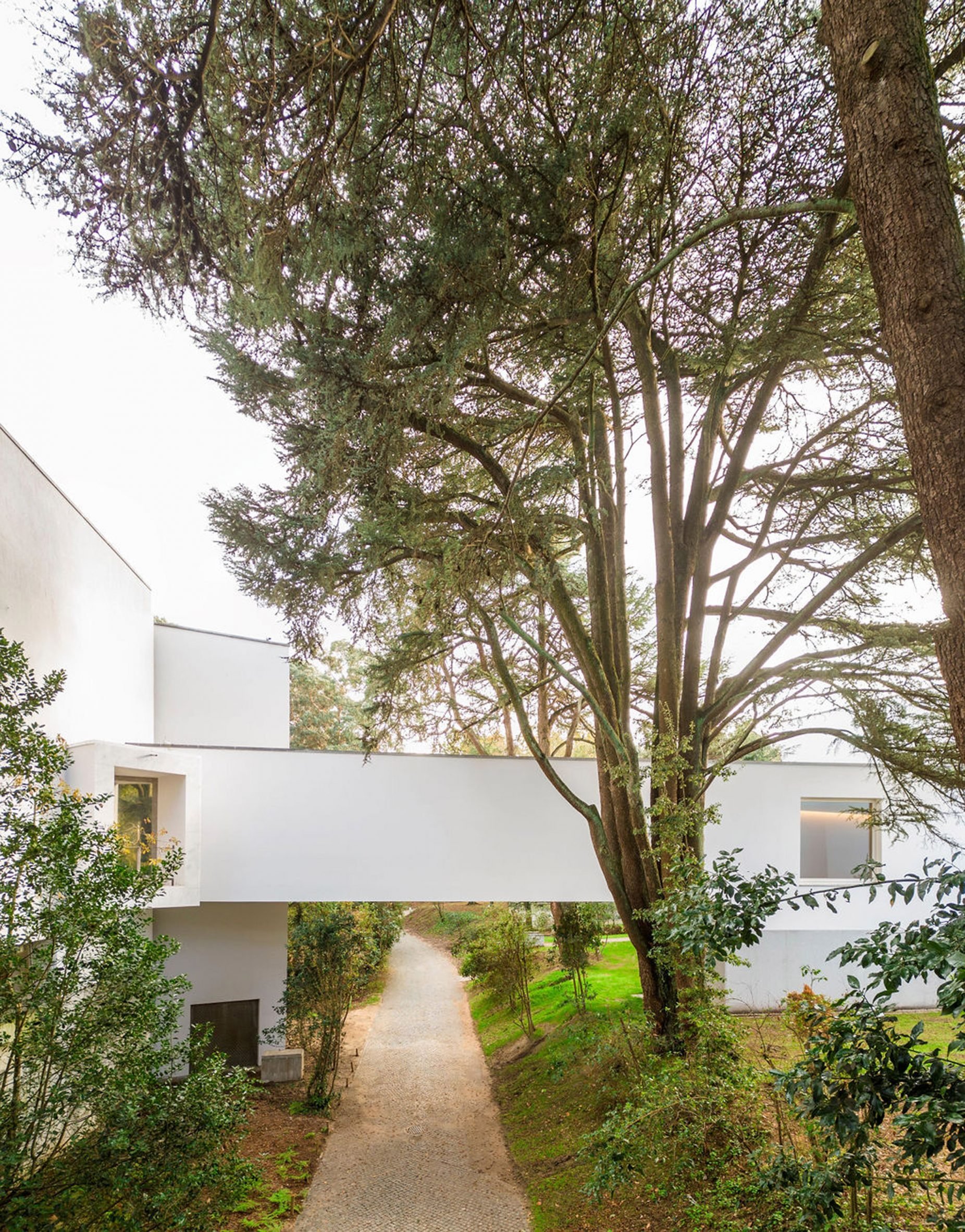 Álvaro Siza Wing in the Serralves Museum park