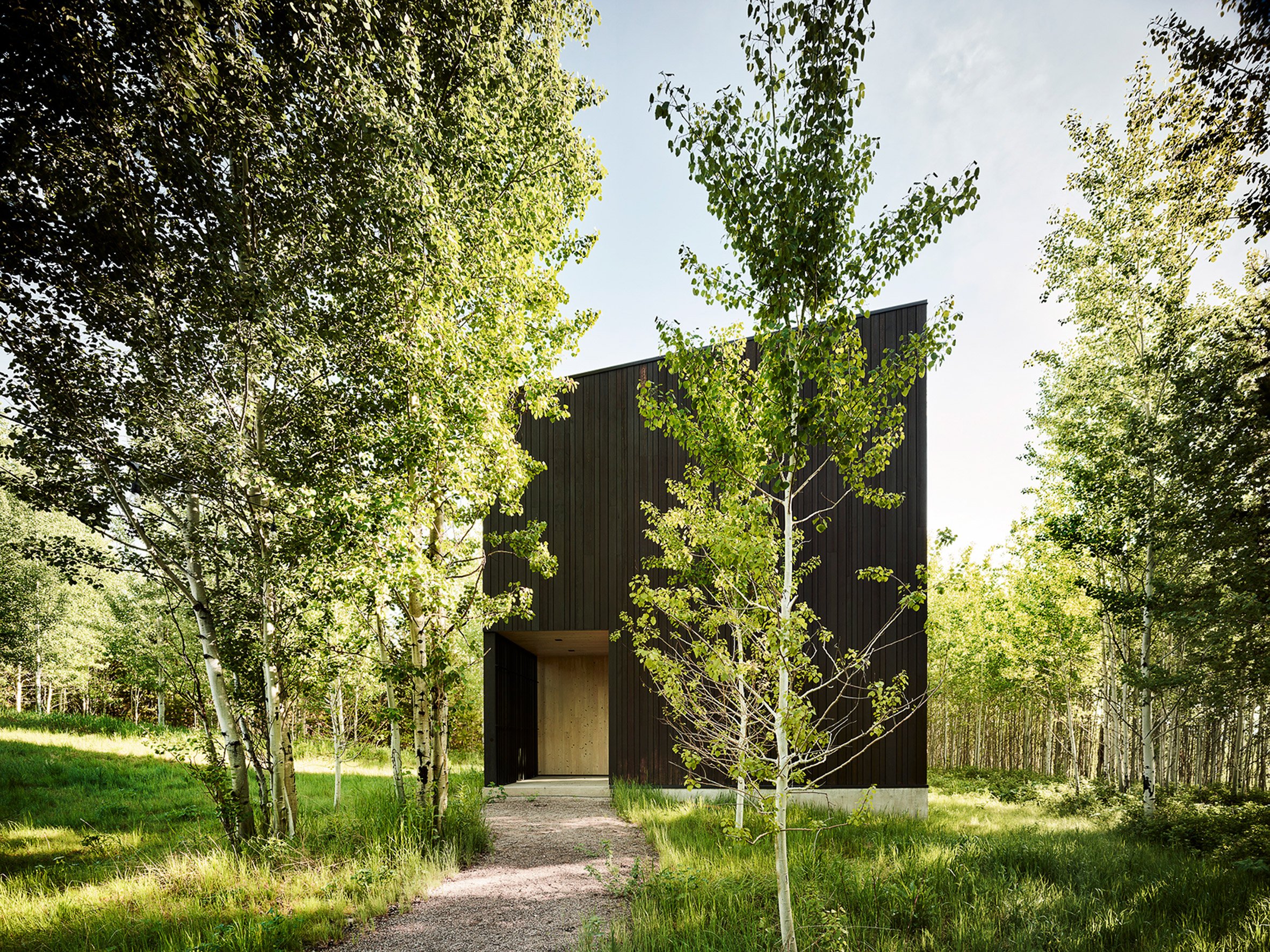 Angular structure in forest