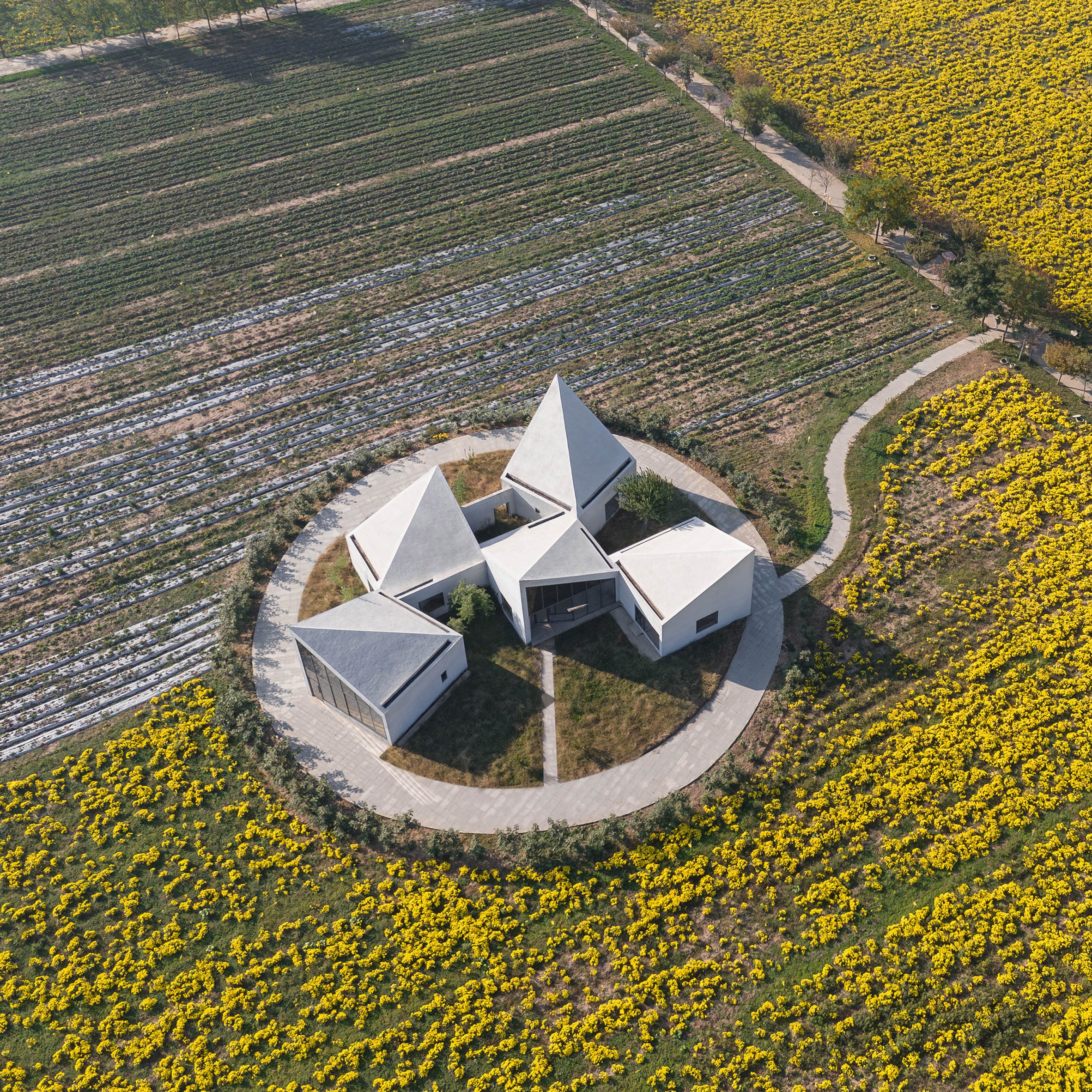 Aerial view of The Library in Ice-Chrysanthemum Field in China