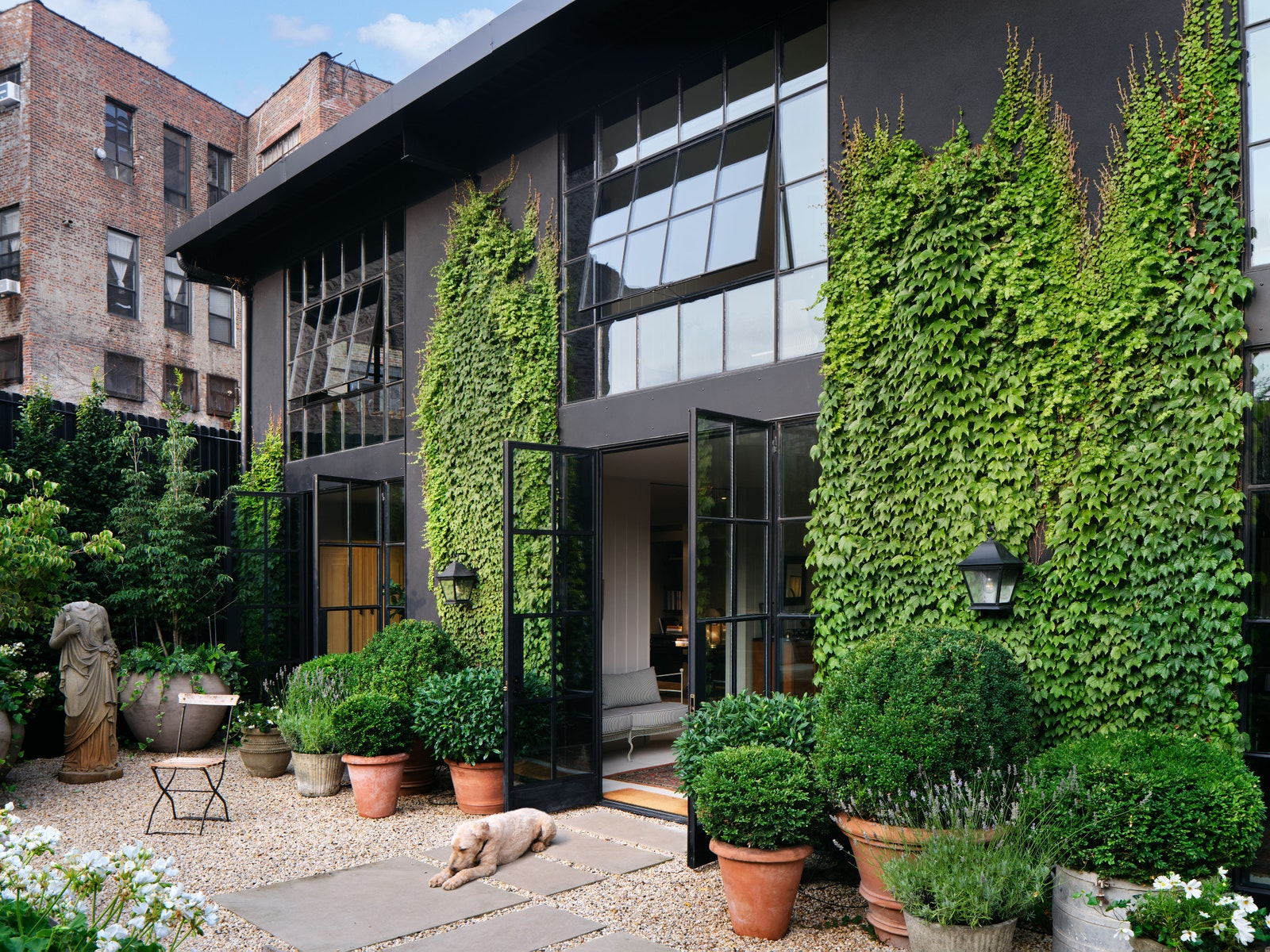 Image may contain City Plant Person Animal Canine Dog Mammal Pet Jar Planter Potted Plant Pottery Vase and Tree