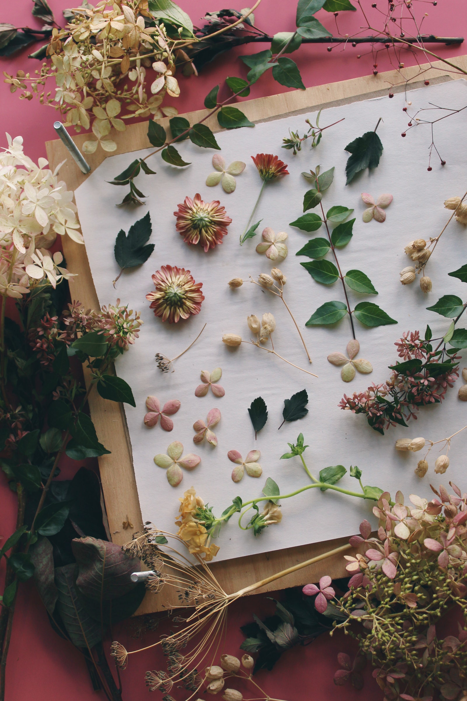 Image may contain Leaf Plant Flower Petal Food and Food Presentation