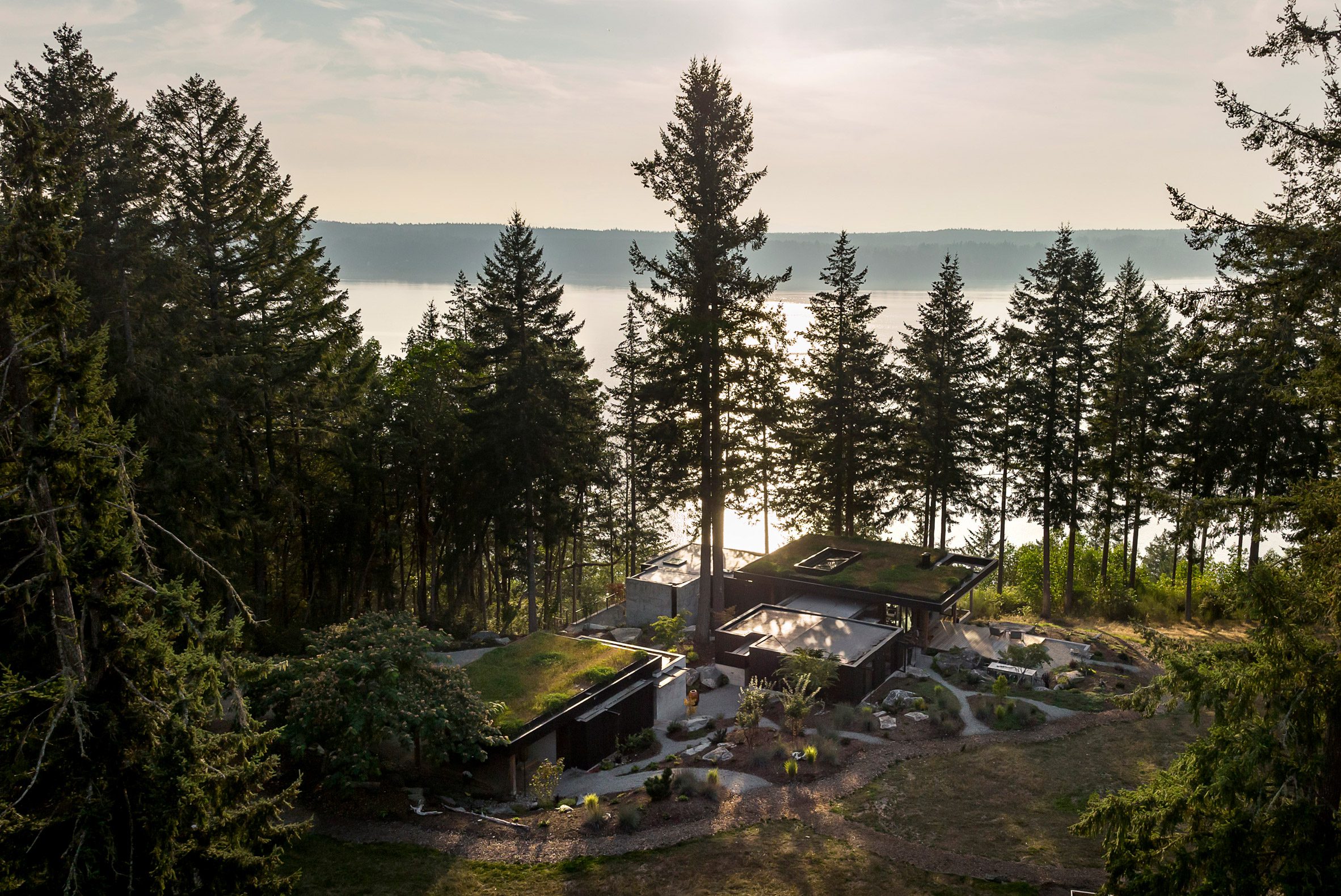 House within forested setting