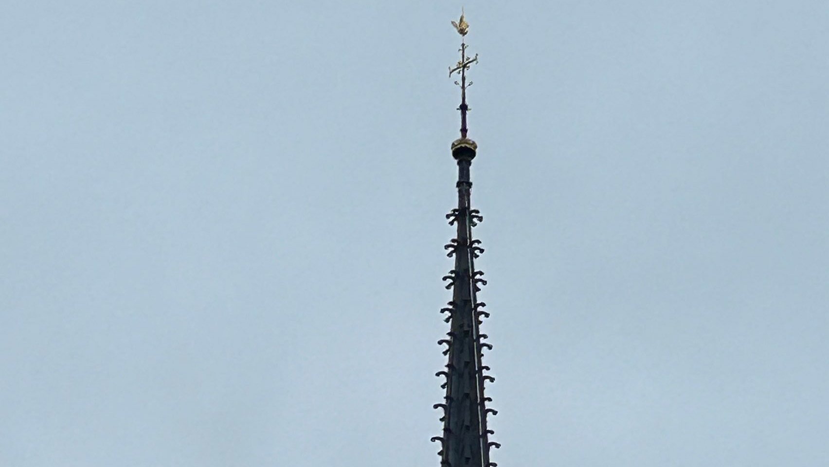 Notre-Dame's spire was revealed