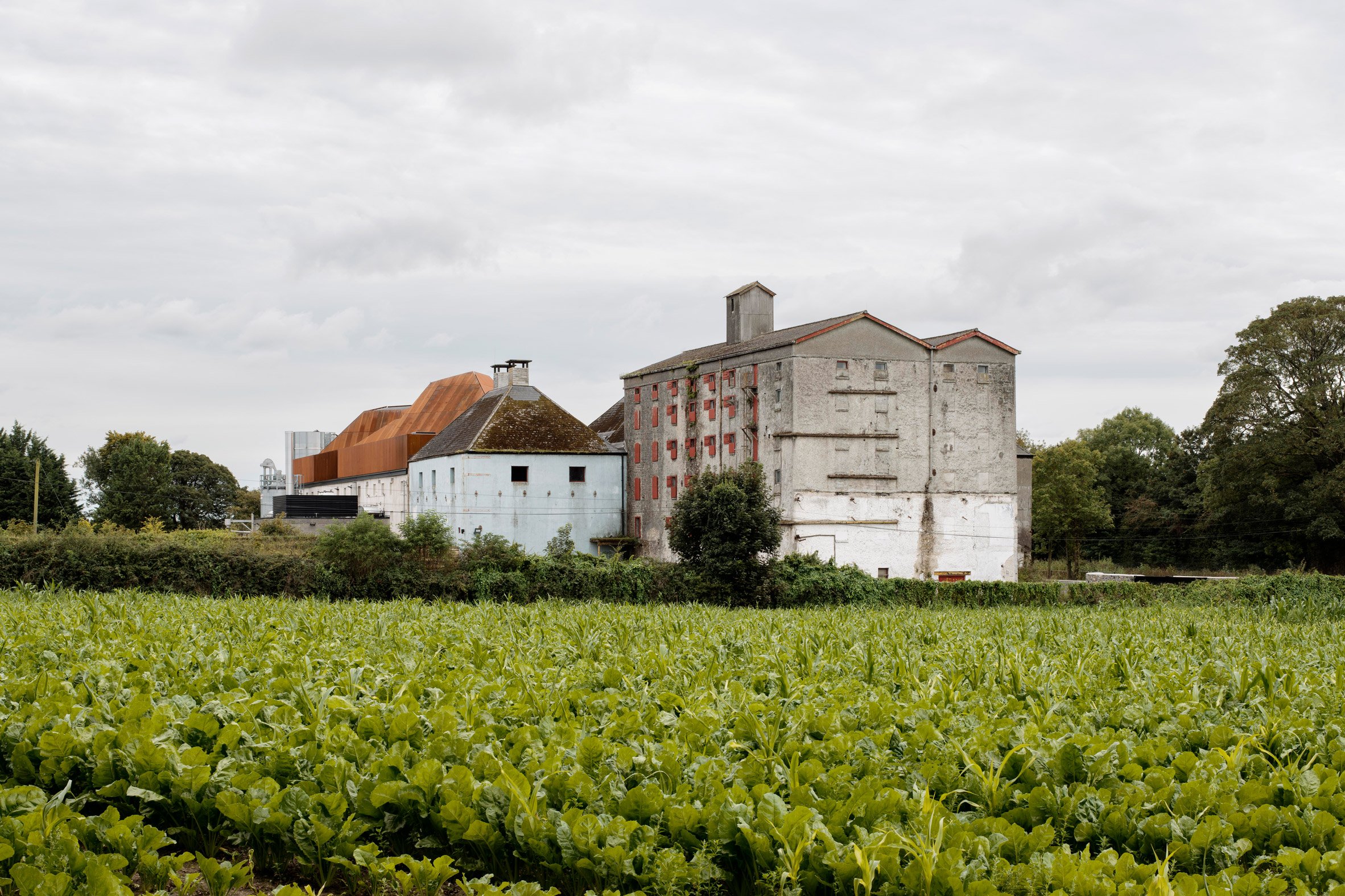 Industrial heritage setting of ODOS Architects' Church Oak Distillery in Ireland