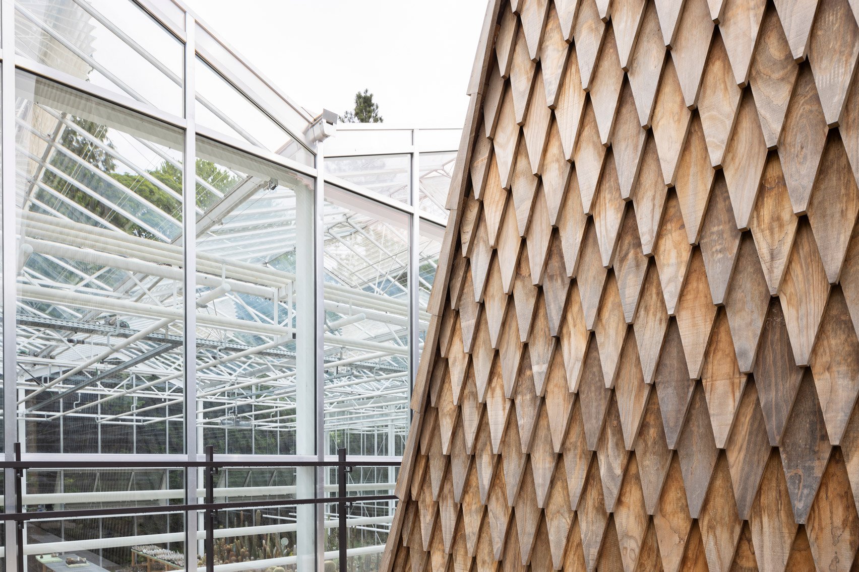 Shingle cladding