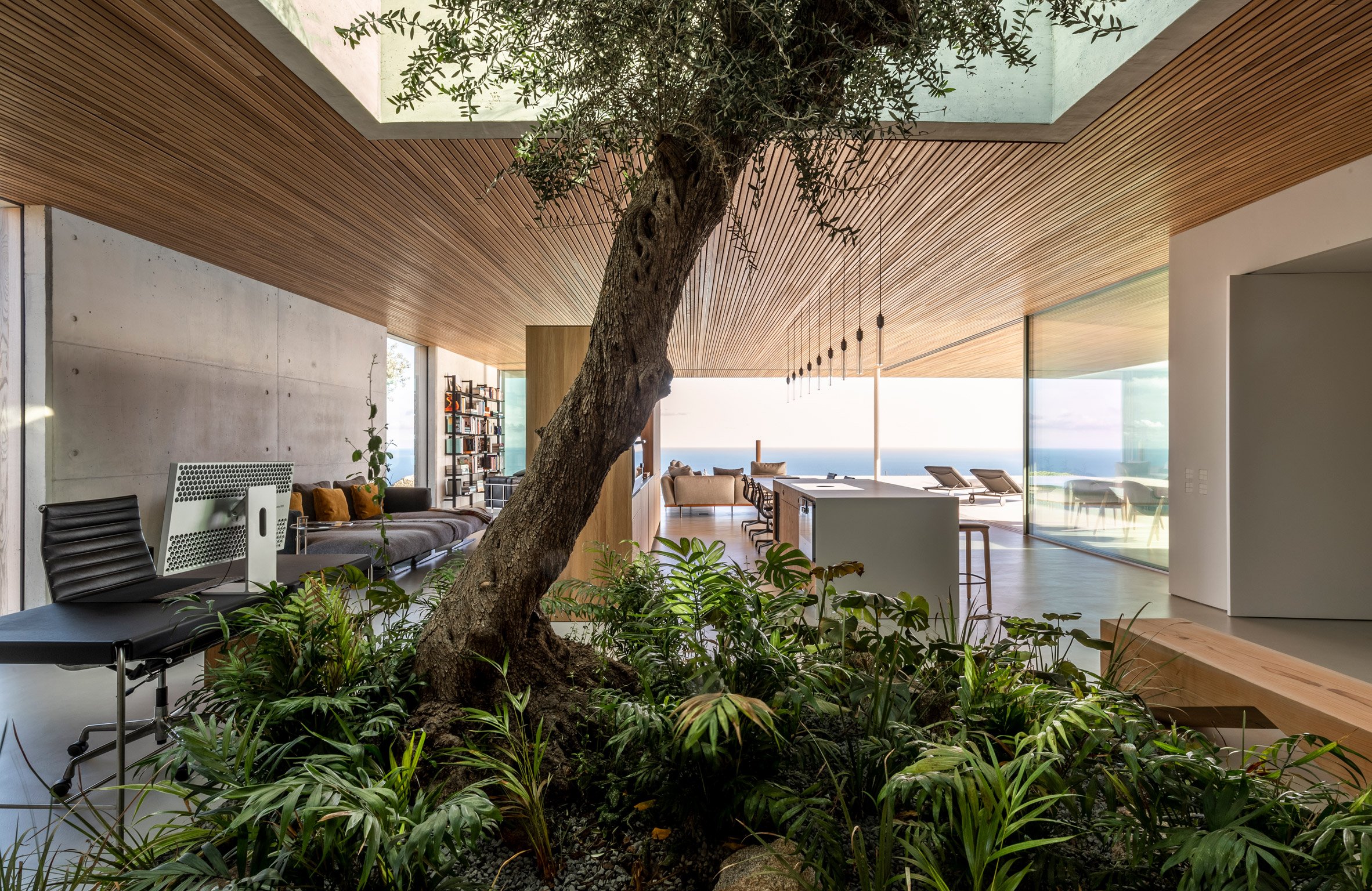 Planted tree in the kitchen at a home in Spain