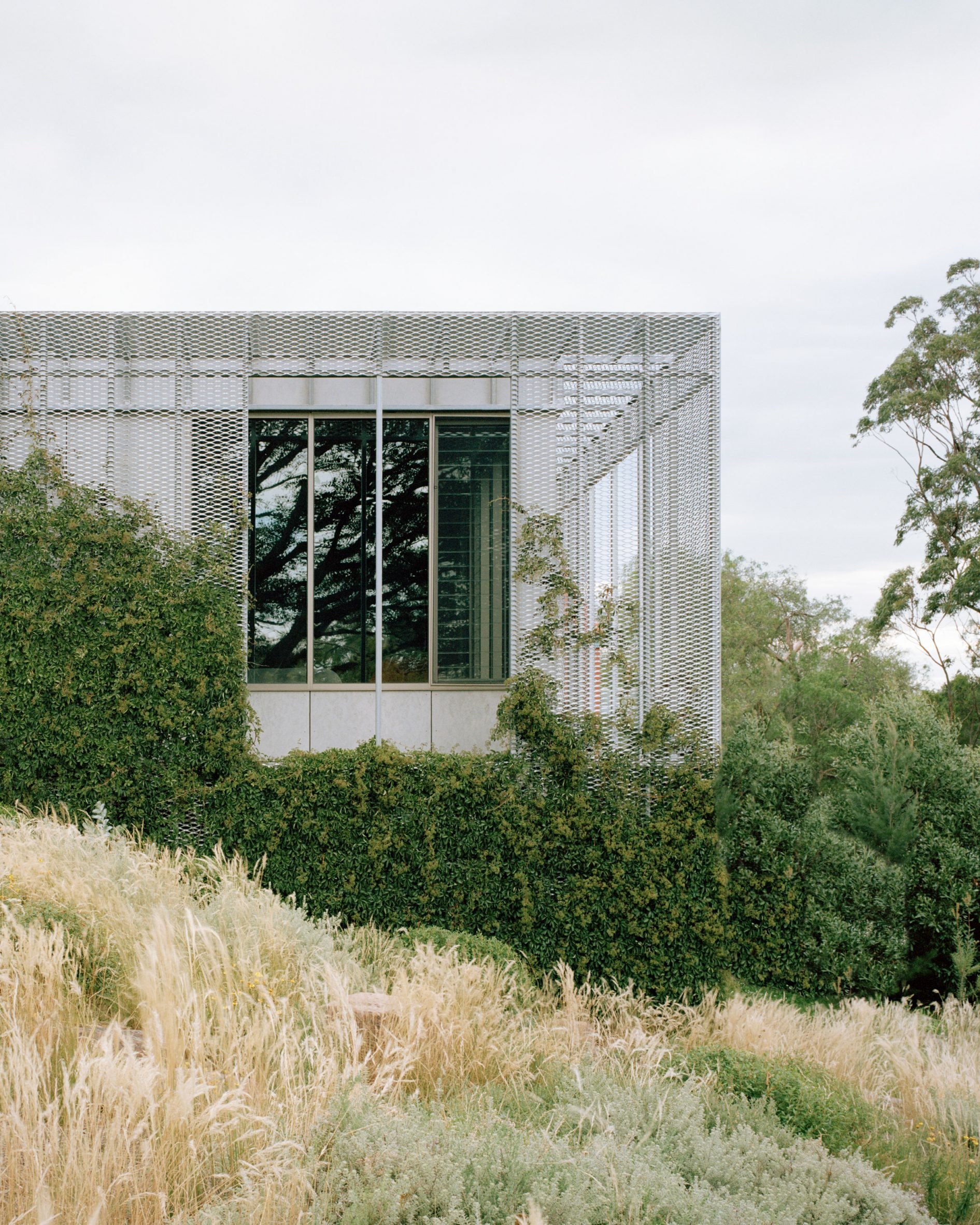 Exterior of Hedge and Arbour House by Studio Bright