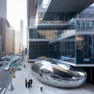 Anish Kapoor Bean
