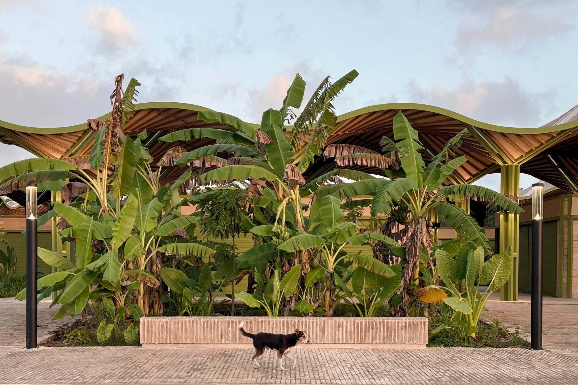 Parabolic roof system