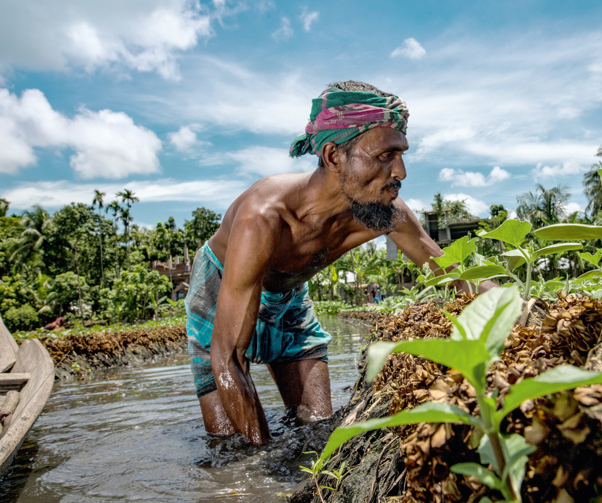 Baira floating islands, Bangladesh