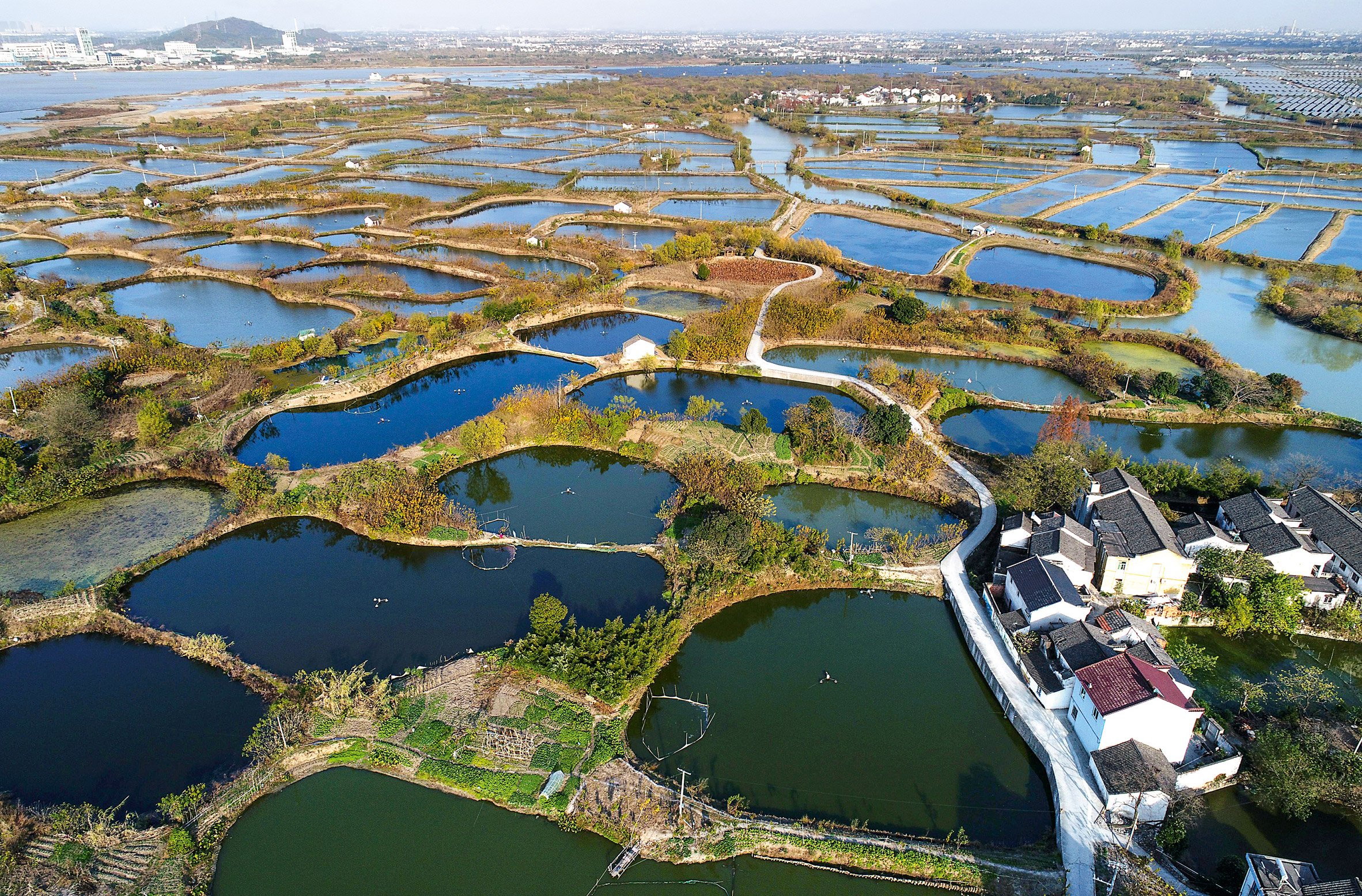 Sangjiyutang farming system, China, from Lo-TEK Water by Julia Watson