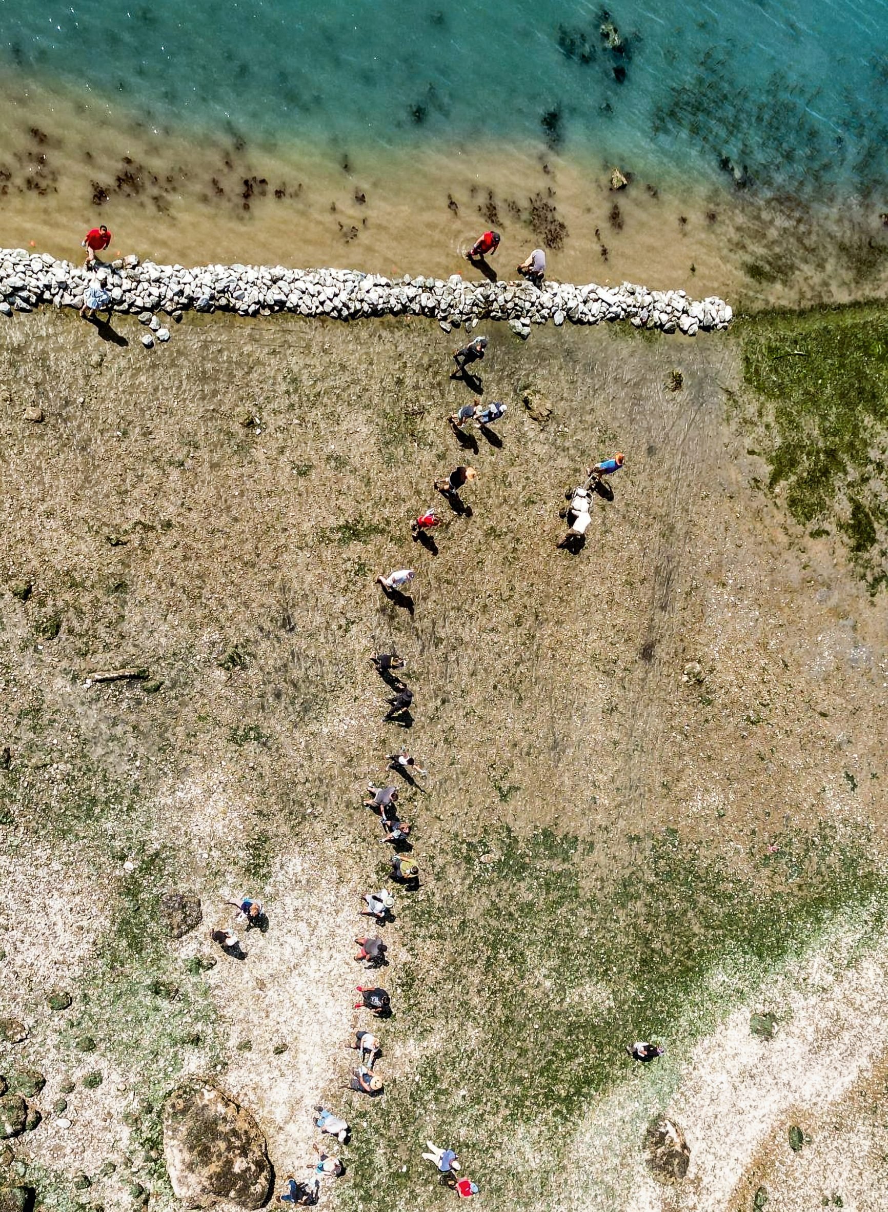Aech fish weirs and Swinomish clam gardens, USA